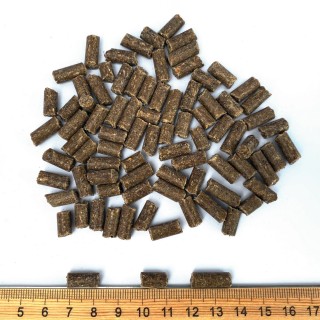 IBDermaTapiOvo Mini - NOREFLUX